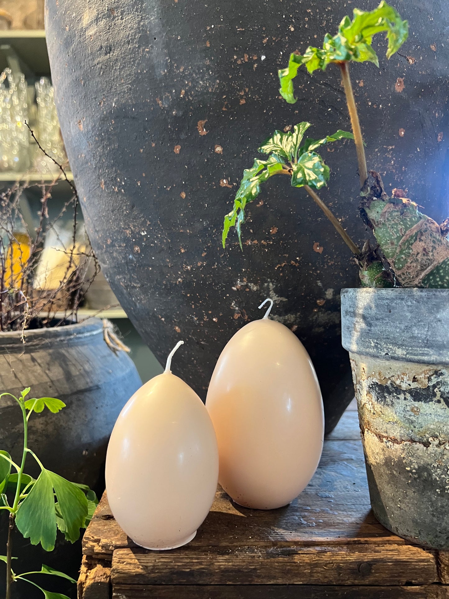Äggljus - gåsägg socker