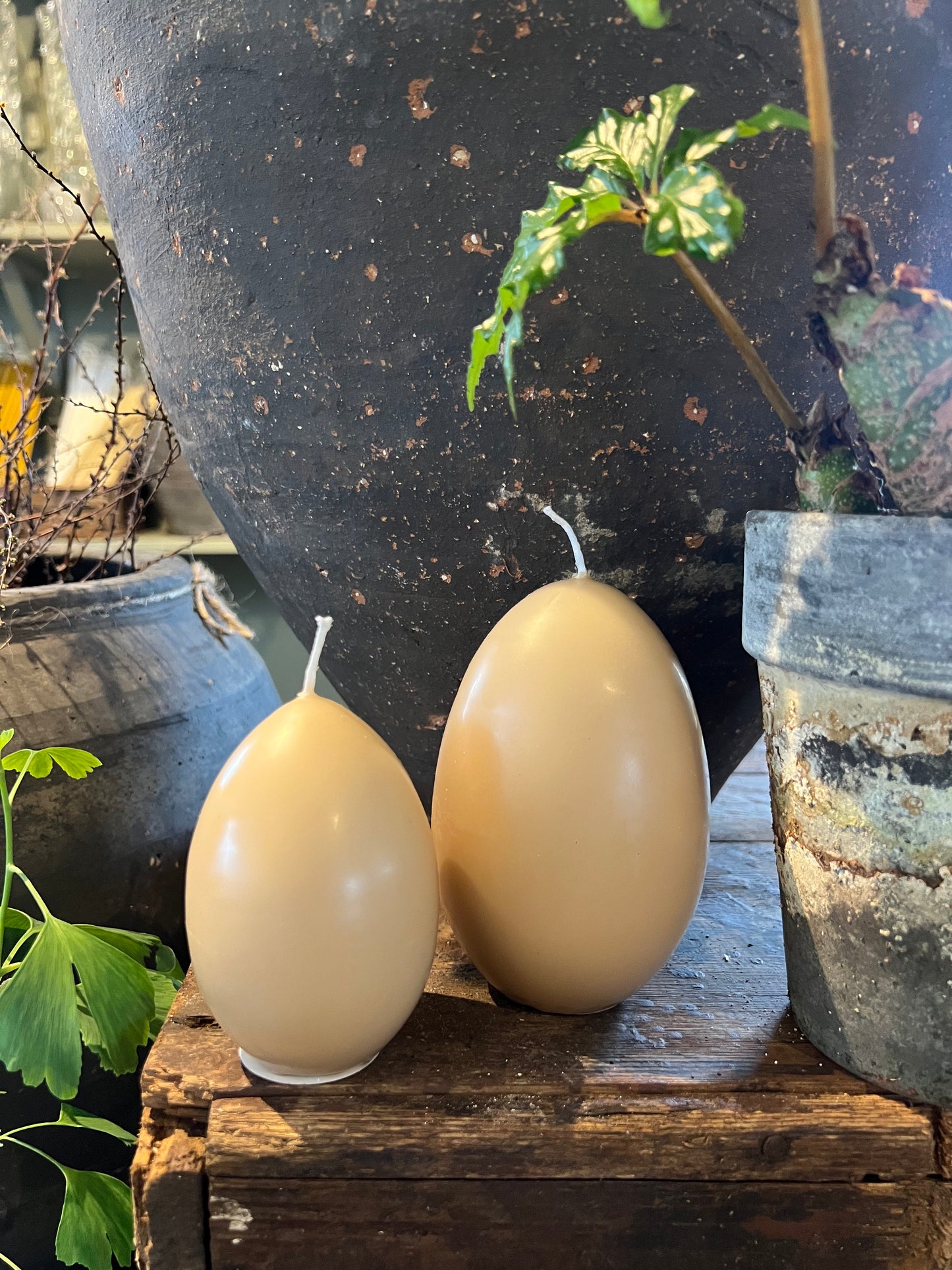 Äggljus - andägg ljusbeige