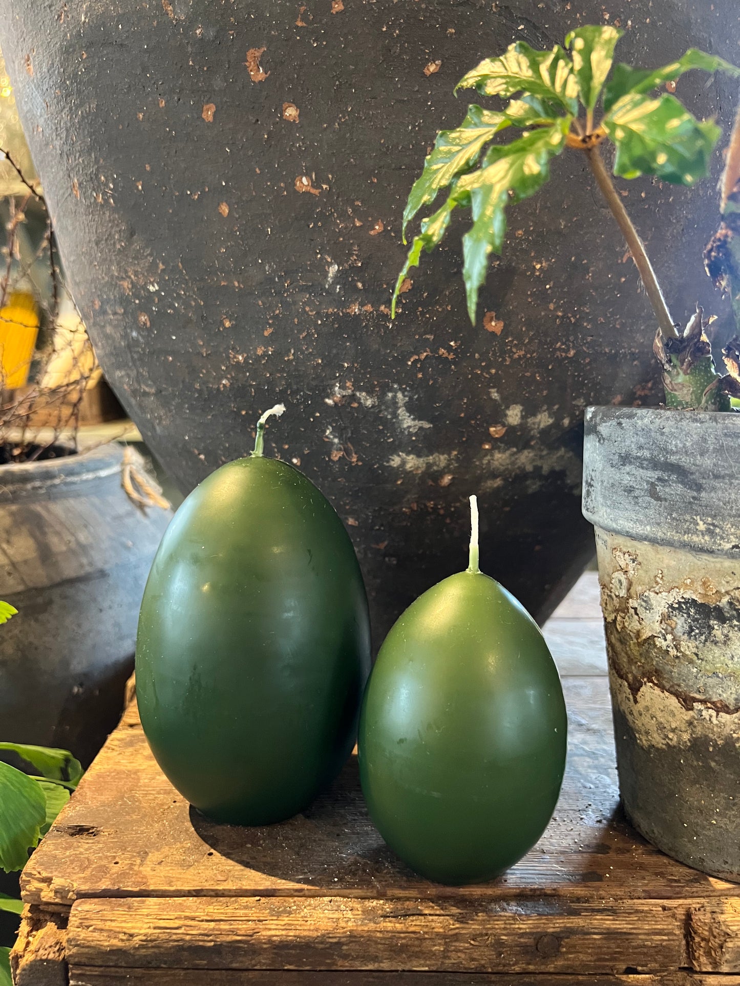 Äggljus - gåsägg mossgrön