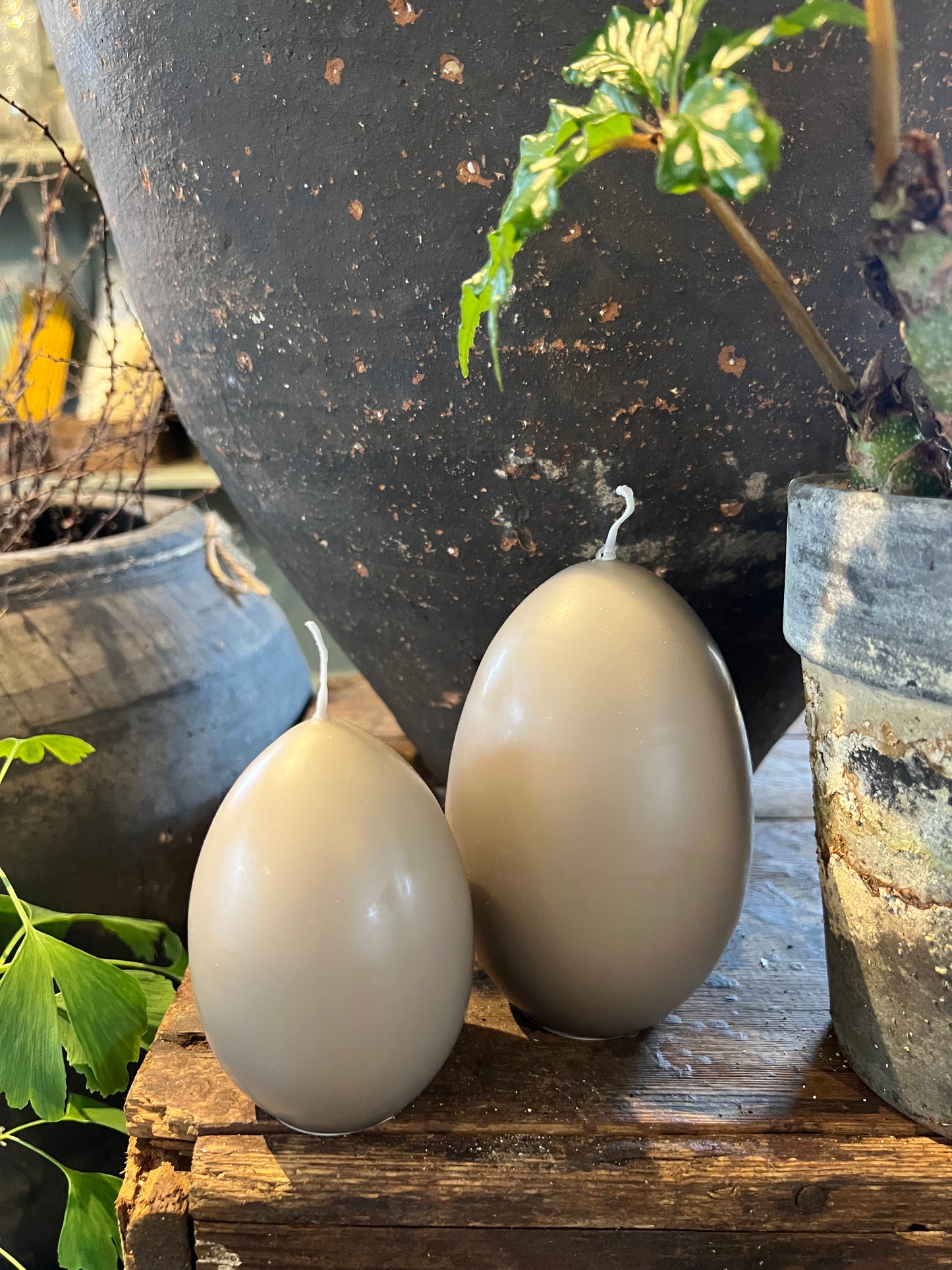 Äggljus - gåsägg lin