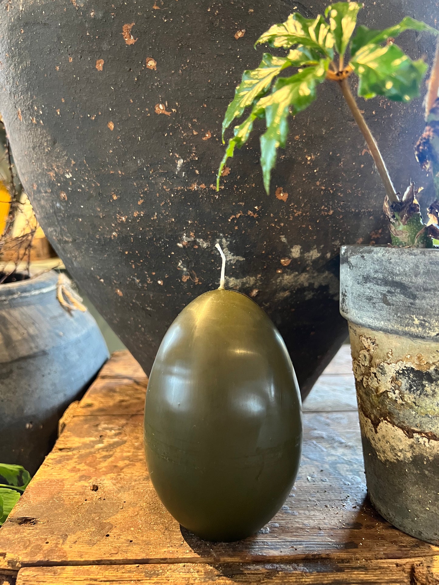 Äggljus - gåsägg jord