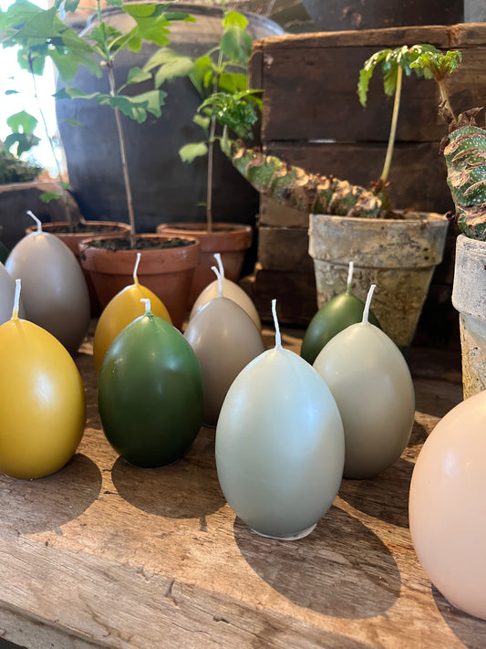 Äggljus - andägg eucalyptus