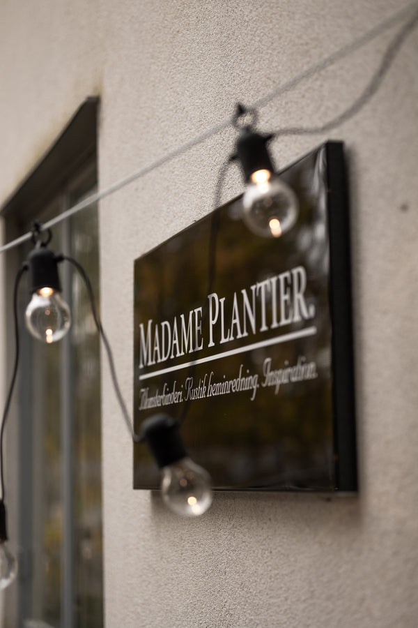 Madame Plantier 